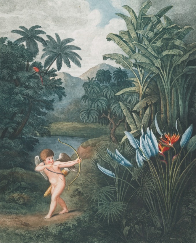 Vintage illustration of Cupid in a jungle
